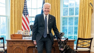 Biden repeatedly watched his dog attack Secret Service as staff wished
each other ‘safe shift’: docs By Social Links for Steven Nelson